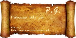 Pahocsa Géza névjegykártya